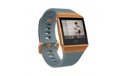 fitbit Ionic slate-blue copper Aktivitätsuhr - Smartwatch mit NFC aa28535_01.jpeg
